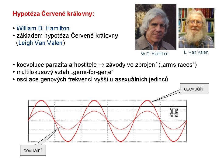 Hypotéza Červené královny: • William D. Hamilton • základem hypotéza Červené královny (Leigh Van Hypotéza Červené královny: • William D. Hamilton • základem hypotéza Červené královny (Leigh Van