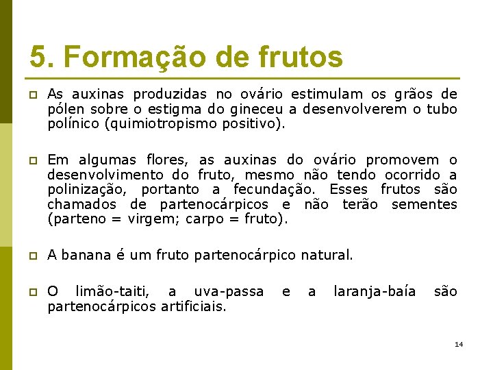 5. Formação de frutos p As auxinas produzidas no ovário estimulam os grãos de