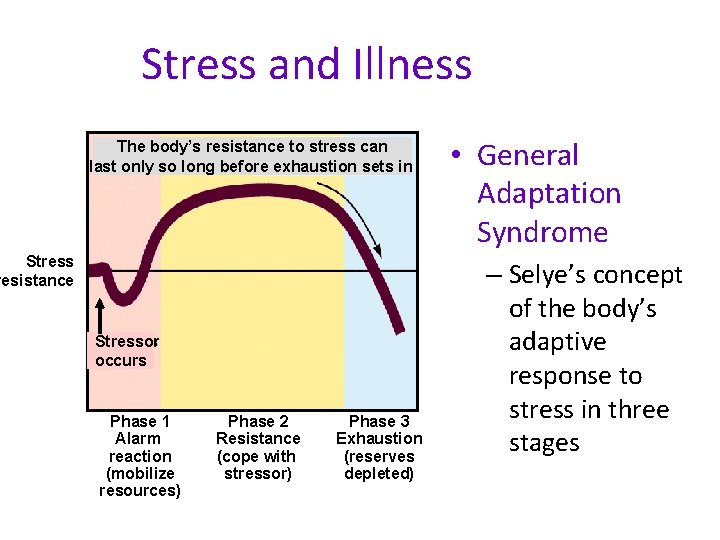 Stress and Illness The body’s resistance to stress can last only so long before