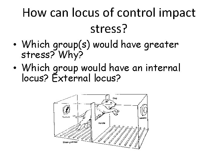 How can locus of control impact stress? • Which group(s) would have greater stress?