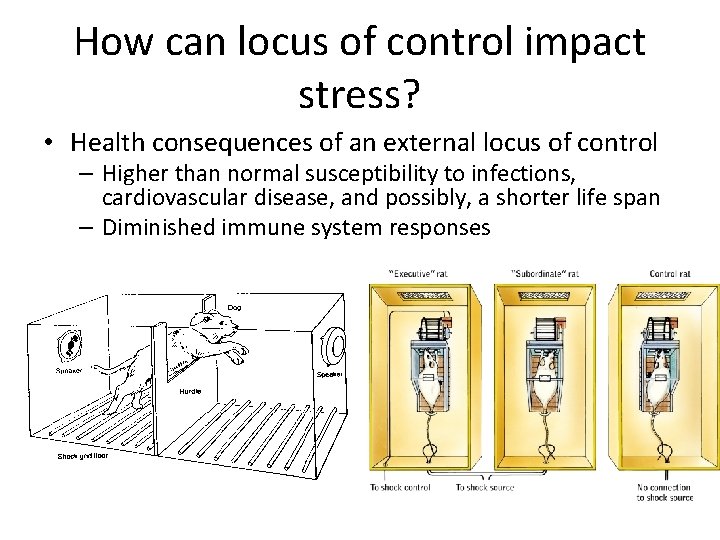How can locus of control impact stress? • Health consequences of an external locus