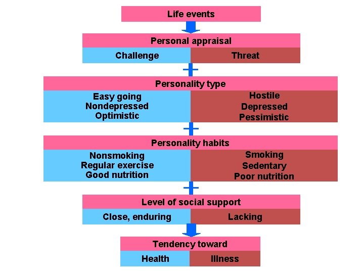 Life events Personal appraisal Challenge Threat Personality type Hostile Depressed Pessimistic Easy going Nondepressed