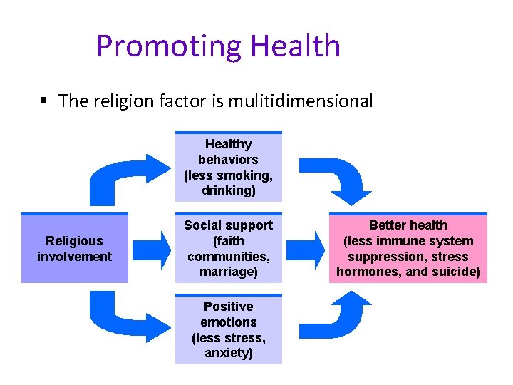 Promoting Health § The religion factor is mulitidimensional Healthy behaviors (less smoking, drinking) Religious