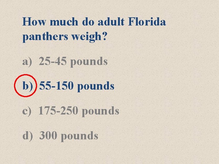 How much do adult Florida panthers weigh? a) 25 -45 pounds b) 55 -150 How much do adult Florida panthers weigh? a) 25 -45 pounds b) 55 -150