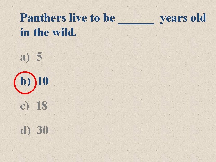 Panthers live to be ______ years old in the wild. a) 5 b) 10 Panthers live to be ______ years old in the wild. a) 5 b) 10