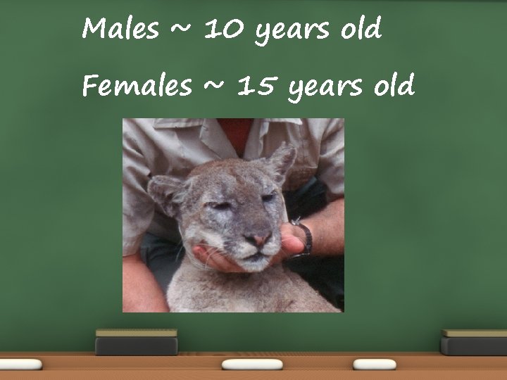 Males ~ 10 years old Females ~ 15 years old Males ~ 10 years old Females ~ 15 years old