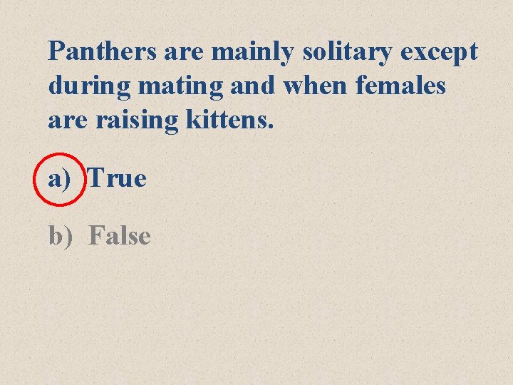 Panthers are mainly solitary except during mating and when females are raising kittens. a)