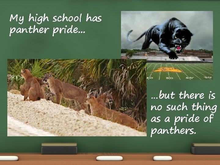 My high school has panther pride. . . …but there is no such thing My high school has panther pride. . . …but there is no such thing