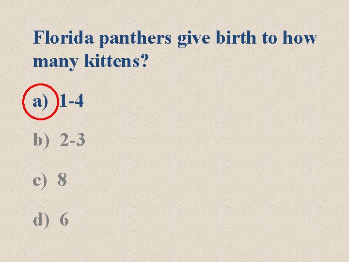Florida panthers give birth to how many kittens? a) 1 -4 b) 2 -3 Florida panthers give birth to how many kittens? a) 1 -4 b) 2 -3