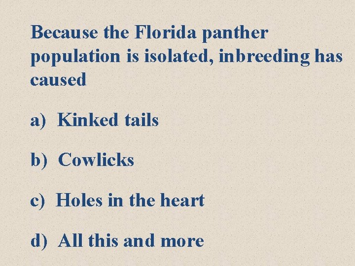 Because the Florida panther population is isolated, inbreeding has caused a) Kinked tails b)