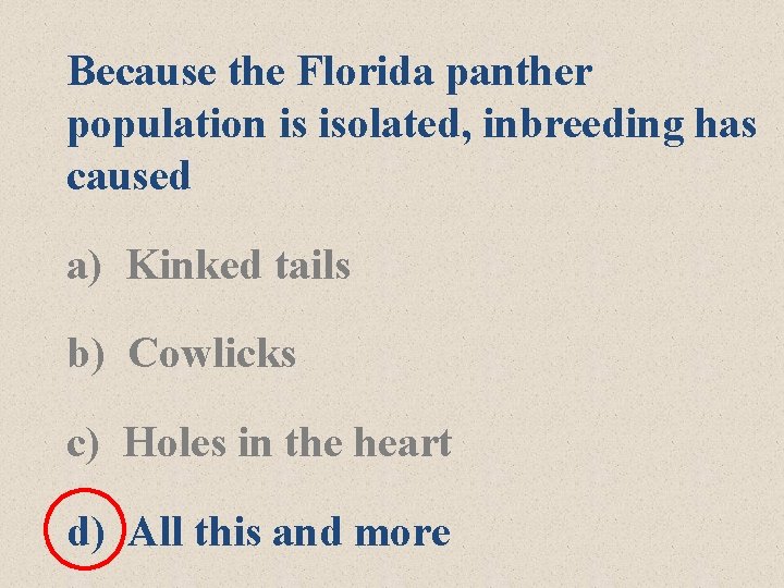 Because the Florida panther population is isolated, inbreeding has caused a) Kinked tails b)