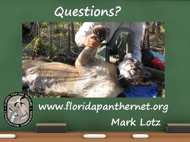 Questions? www. floridapanthernet. org Mark Lotz 