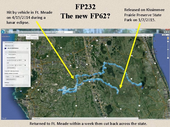 Hit by vehicle in Ft. Meade on 4/15/2014 during a lunar eclipse. FP 232 Hit by vehicle in Ft. Meade on 4/15/2014 during a lunar eclipse. FP 232