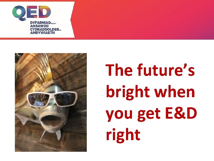 The future’s bright when you get E&D right 