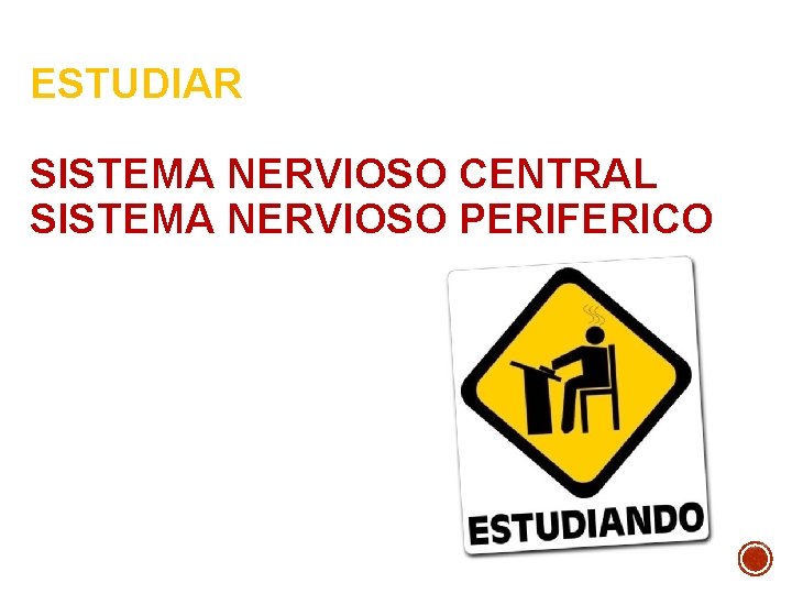 ESTUDIAR SISTEMA NERVIOSO CENTRAL SISTEMA NERVIOSO PERIFERICO ESTUDIAR SISTEMA NERVIOSO CENTRAL SISTEMA NERVIOSO PERIFERICO