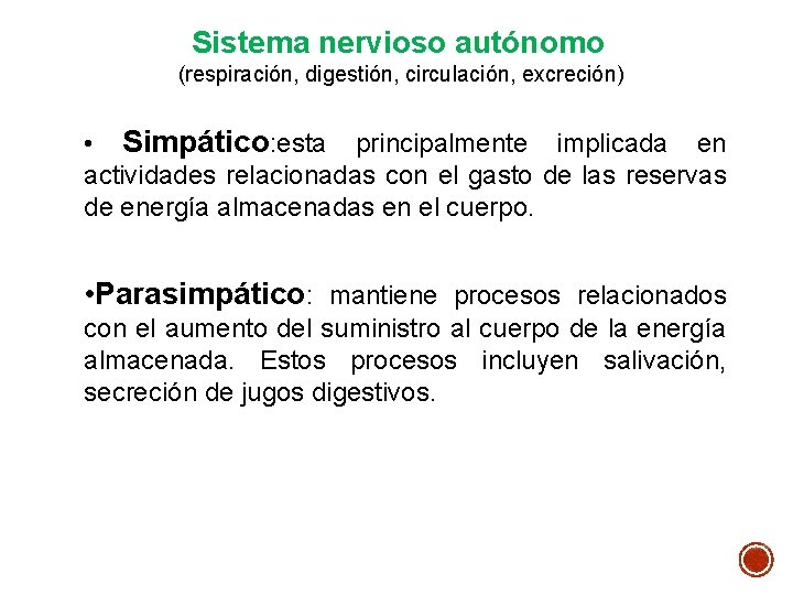 Sistema nervioso autónomo (respiración, digestión, circulación, excreción) • Simpático: esta principalmente implicada en actividades Sistema nervioso autónomo (respiración, digestión, circulación, excreción) • Simpático: esta principalmente implicada en actividades