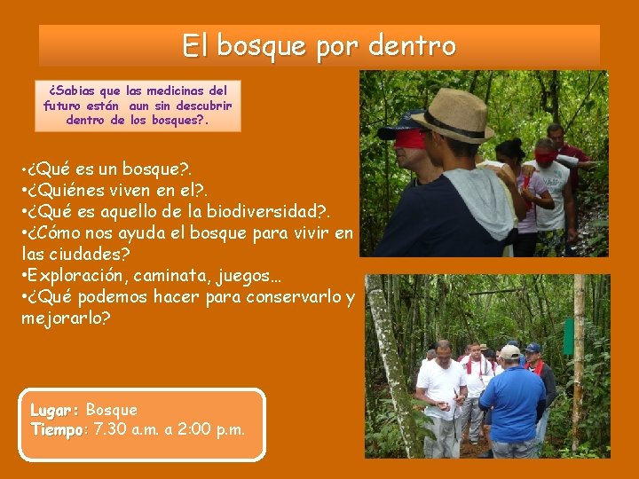 El bosque por dentro ¿Sabias que las medicinas del futuro están aun sin descubrir