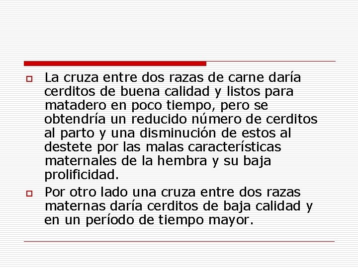 o o La cruza entre dos razas de carne daría cerditos de buena calidad