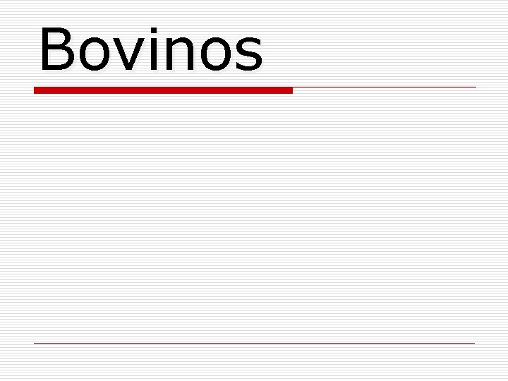 Bovinos 