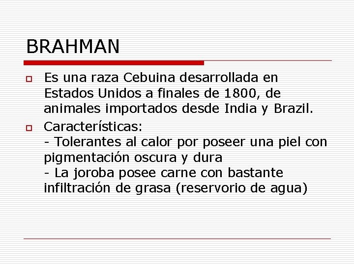 BRAHMAN o o Es una raza Cebuina desarrollada en Estados Unidos a finales de