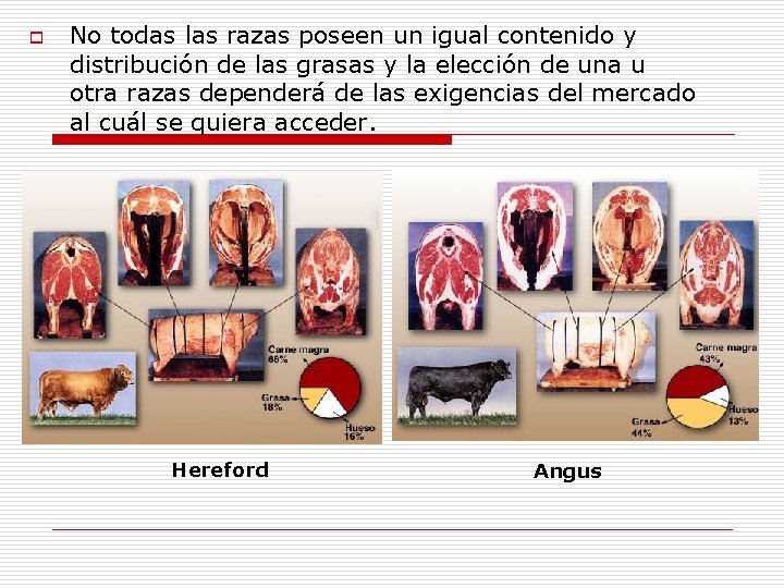 o No todas las razas poseen un igual contenido y distribución de las grasas