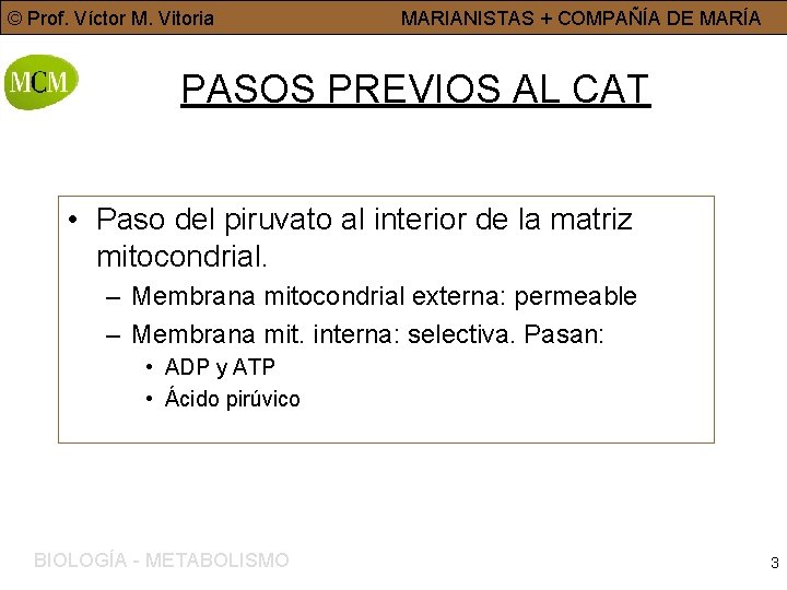 © Prof. Víctor M. Vitoria MARIANISTAS + COMPAÑÍA DE MARÍA PASOS PREVIOS AL CAT