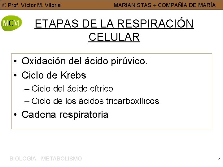 © Prof. Víctor M. Vitoria MARIANISTAS + COMPAÑÍA DE MARÍA ETAPAS DE LA RESPIRACIÓN