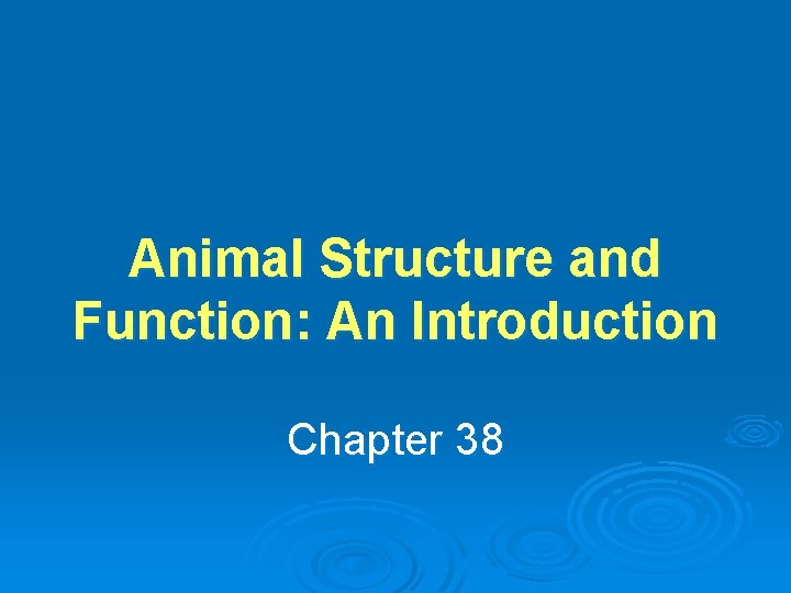Animal Structure and Function: An Introduction Chapter 38 