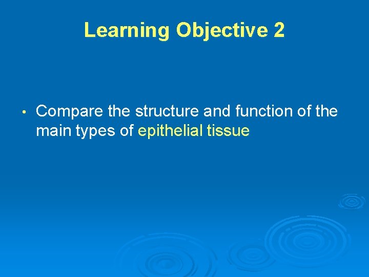 Learning Objective 2 • Compare the structure and function of the main types of
