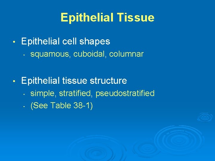 Epithelial Tissue • Epithelial cell shapes • • squamous, cuboidal, columnar Epithelial tissue structure