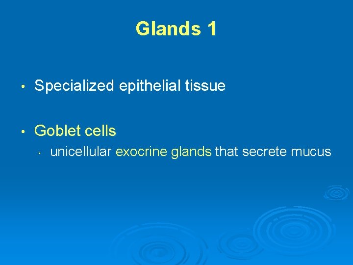 Glands 1 • Specialized epithelial tissue • Goblet cells • unicellular exocrine glands that
