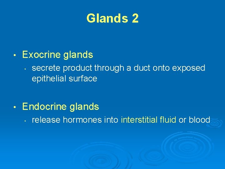 Glands 2 • Exocrine glands • • secrete product through a duct onto exposed