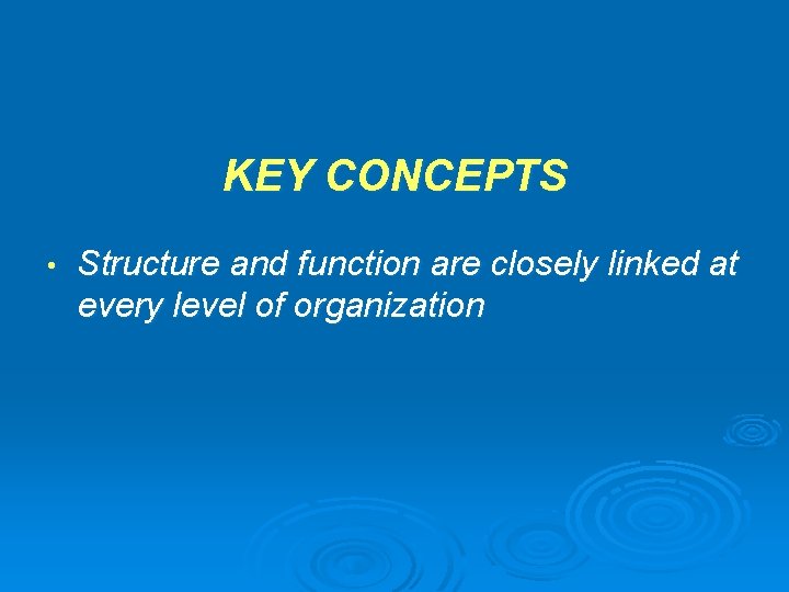 KEY CONCEPTS • Structure and function are closely linked at every level of organization