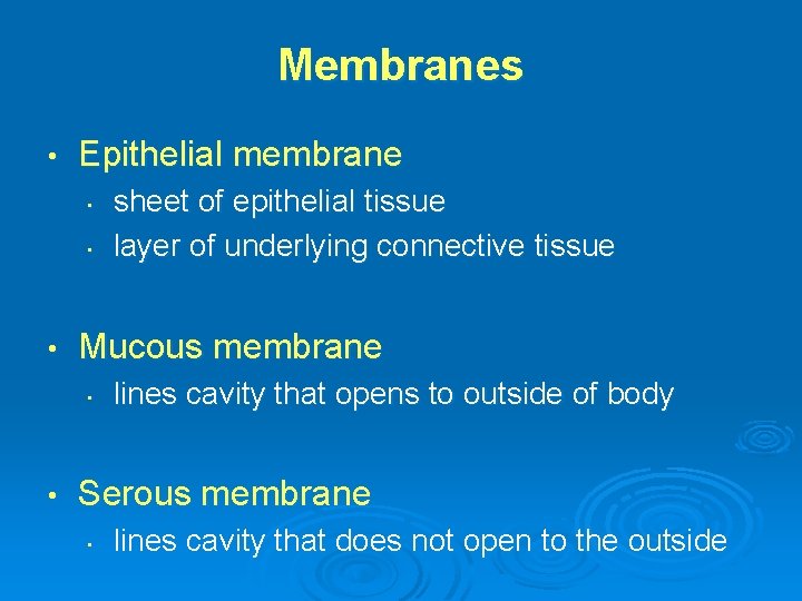 Membranes • Epithelial membrane • • • Mucous membrane • • sheet of epithelial