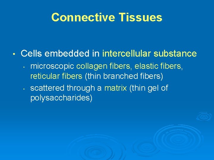 Connective Tissues • Cells embedded in intercellular substance • • microscopic collagen fibers, elastic