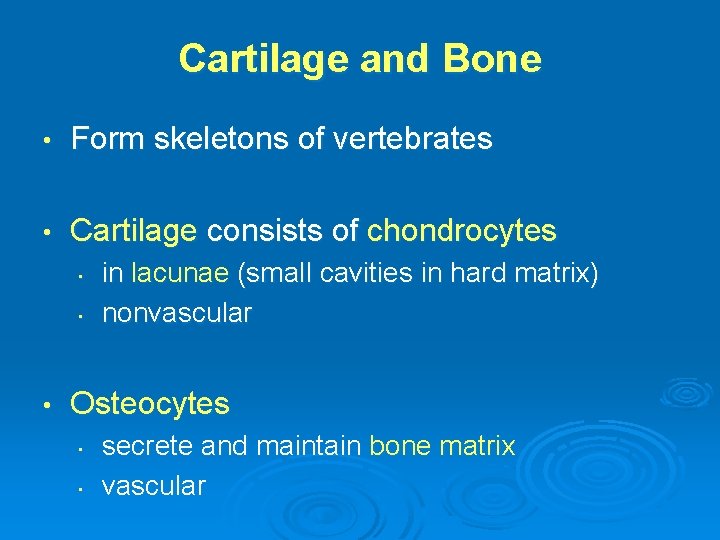 Cartilage and Bone • Form skeletons of vertebrates • Cartilage consists of chondrocytes •