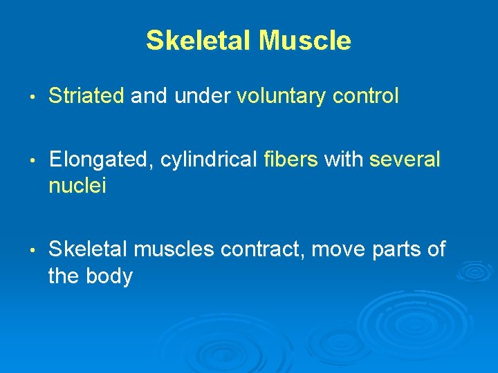 Skeletal Muscle • Striated and under voluntary control • Elongated, cylindrical fibers with several