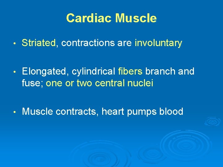 Cardiac Muscle • Striated, contractions are involuntary • Elongated, cylindrical fibers branch and fuse;