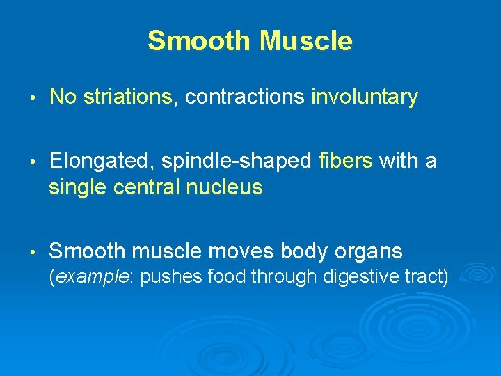 Smooth Muscle • No striations, contractions involuntary • Elongated, spindle-shaped fibers with a single