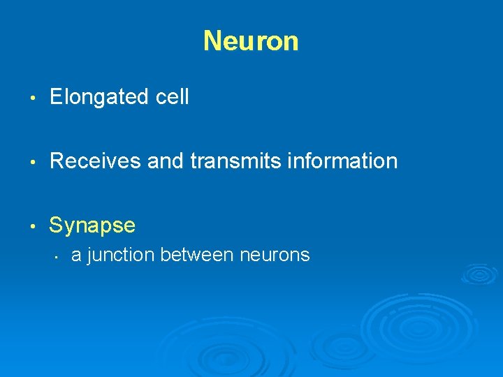 Neuron • Elongated cell • Receives and transmits information • Synapse • a junction