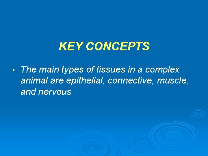 KEY CONCEPTS • The main types of tissues in a complex animal are epithelial,