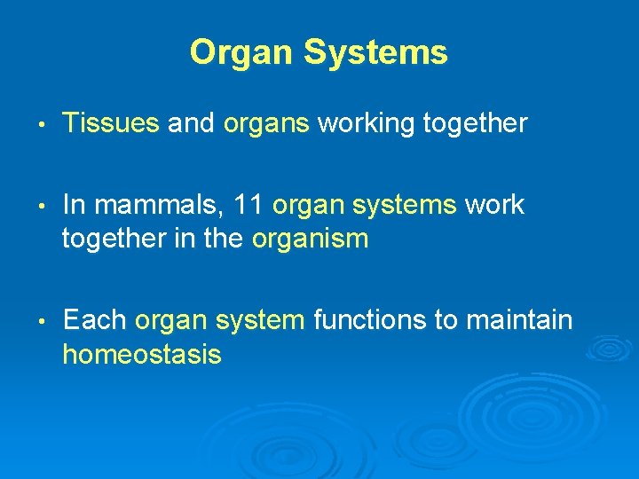Organ Systems • Tissues and organs working together • In mammals, 11 organ systems