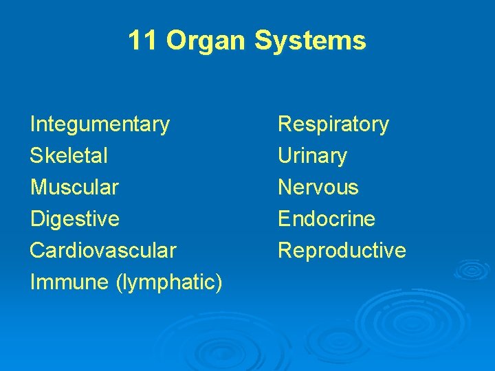 11 Organ Systems Integumentary Skeletal Muscular Digestive Cardiovascular Immune (lymphatic) Respiratory Urinary Nervous Endocrine