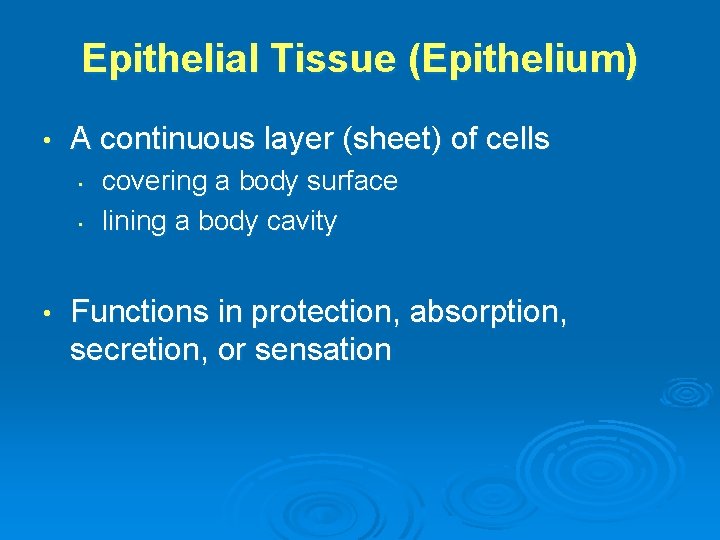 Epithelial Tissue (Epithelium) • A continuous layer (sheet) of cells • • • covering