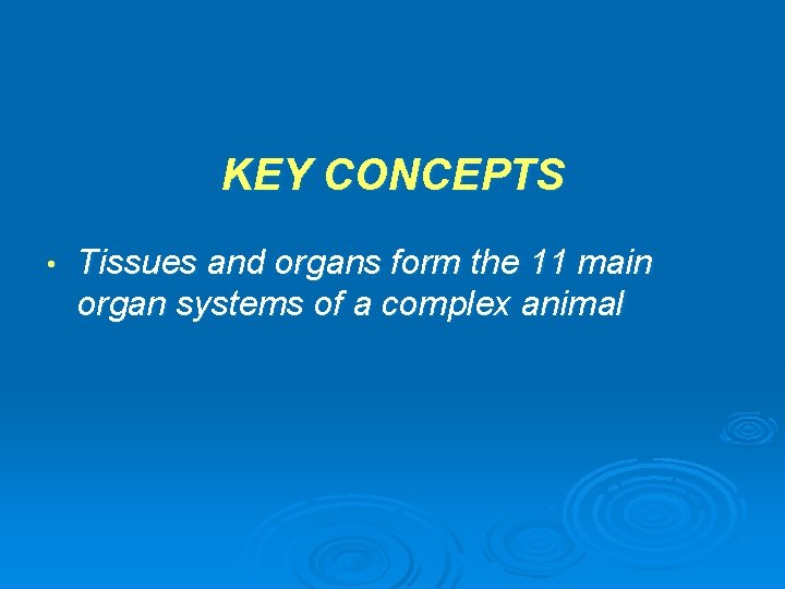 KEY CONCEPTS • Tissues and organs form the 11 main organ systems of a