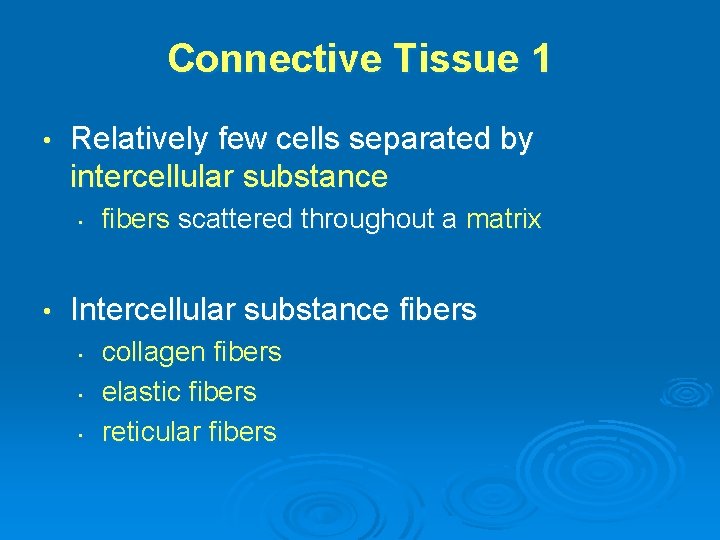 Connective Tissue 1 • Relatively few cells separated by intercellular substance • • fibers