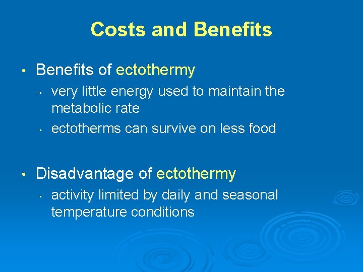 Costs and Benefits • Benefits of ectothermy • • • very little energy used