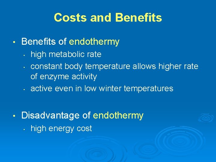 Costs and Benefits • Benefits of endothermy • • high metabolic rate constant body