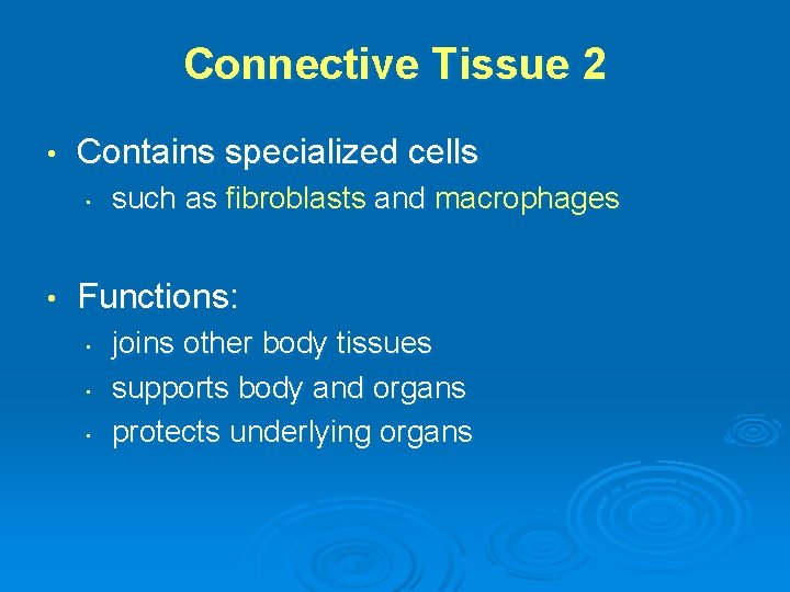 Connective Tissue 2 • Contains specialized cells • • such as fibroblasts and macrophages