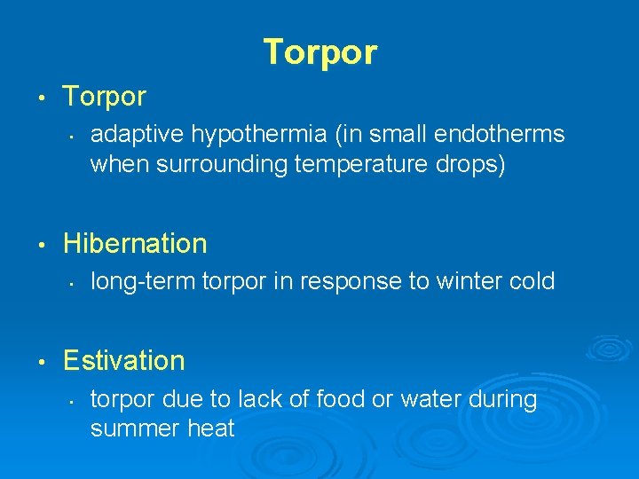 Torpor • • Hibernation • • adaptive hypothermia (in small endotherms when surrounding temperature